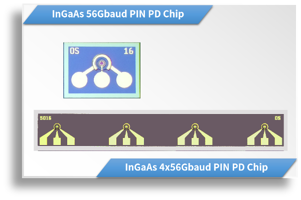 InGaAs 56Gbaud PD Chip / 4x56Gbaud Array PD Chip