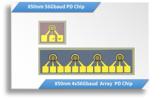 850nm 56Gbaud PD Chip / 4x56Gbaud Array PD Chip